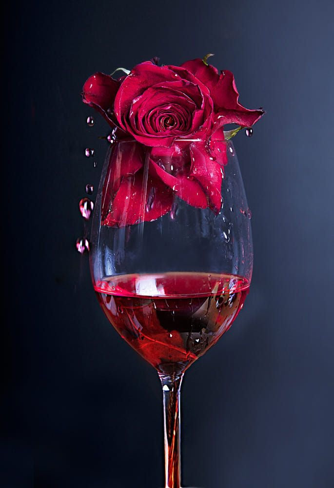 FRAGANCIA BURGUNDY ROSE