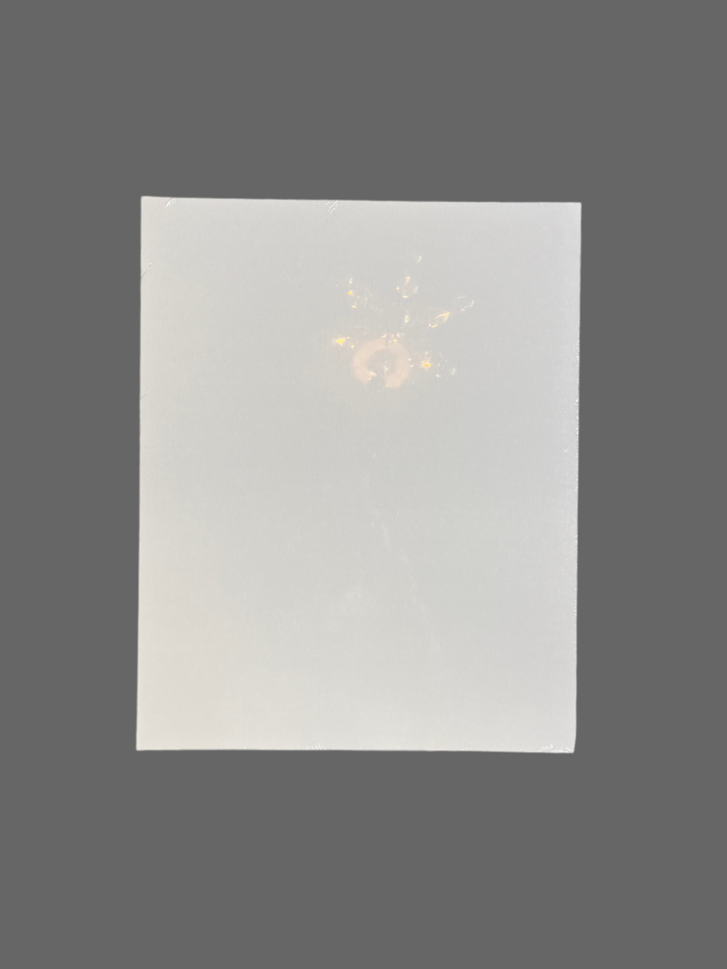 CANVAS PANEL 16X20 1 PC