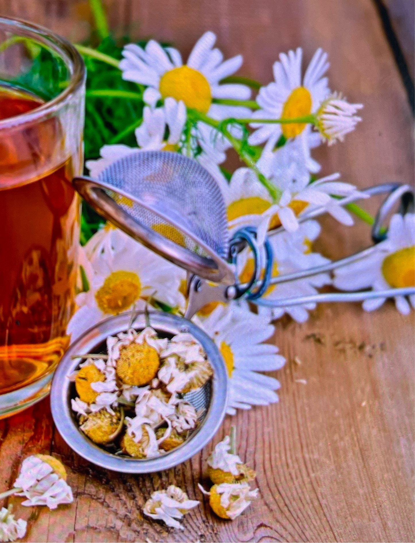 FRAGANCIA CHAMOMILE (MANZANILLA)