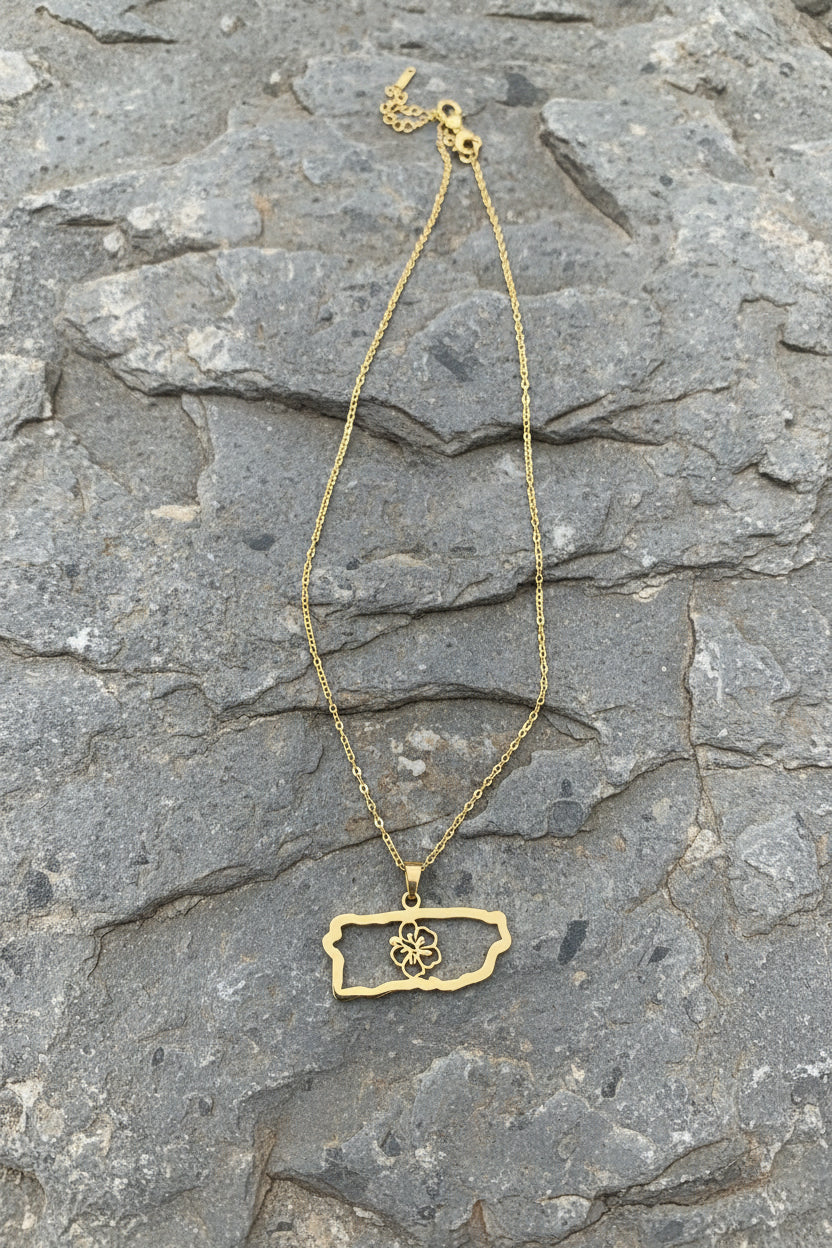 CHAIN STAINLESS STEEL PUERTO RICO MAP GOLD PLATED 17.7 INCHES 1 PC
