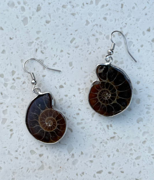 EARRING SPIREL FOSSIL