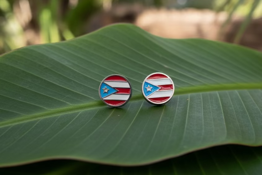 PR FLAG earrings SST SILVER