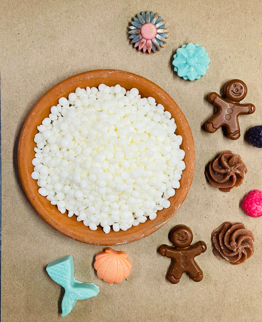 CERA ECOSOYA 494 FOR MELTS 1 LIBRA