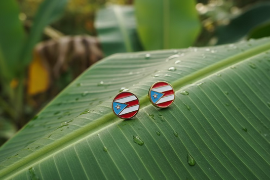 PR Flag earrings SST GOLD ROUND