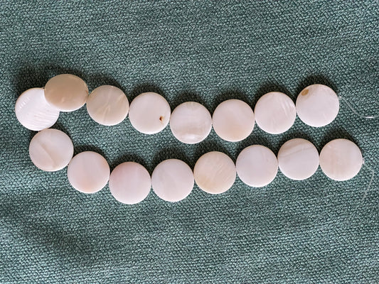 Shell bead flat round creamy white 25x25 1 strand
