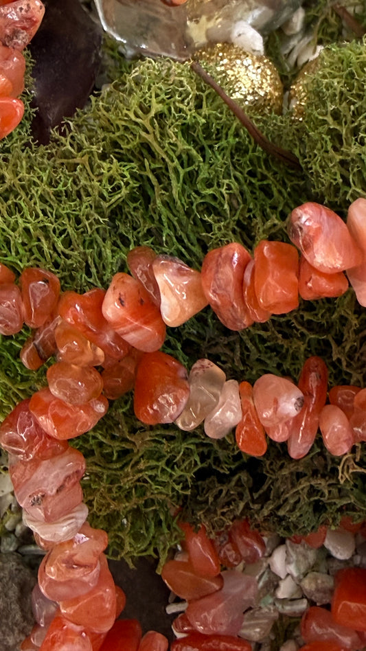 SHELL CHIPS CORAL 35 INCHES 1 STRAND