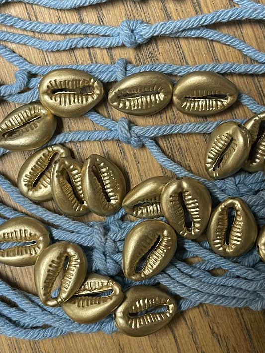 Bead cowrie shell gp matte 17.5 mm