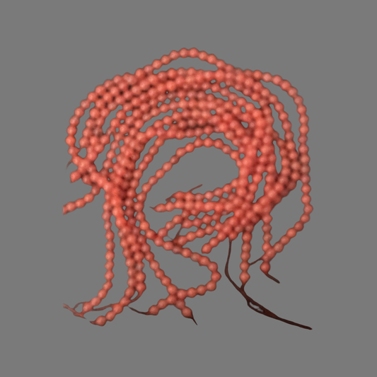 CHERRY QUARTZ 8MM ROUND SALMON 1 STRAND