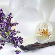 FRAGANCIA LAVENDER VANILLA