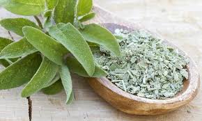 FRAGANCIA SAGE LEAF (SALVIA ) 1 OZ