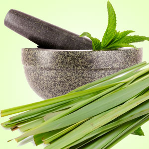 FRAGANCIA LEMONGRASS