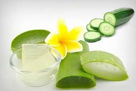 FRAGANCIA ALOE VERA & CUCUMBER 1 OZ