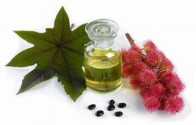 ACEITE VEGETAL CASTOR OIL (ACEITE DE RICINO)