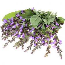 ACEITE ESENCIAL CLARY SAGE 0.5 OZ