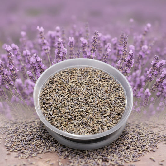 LAVENDER BUDS 0.5 oz