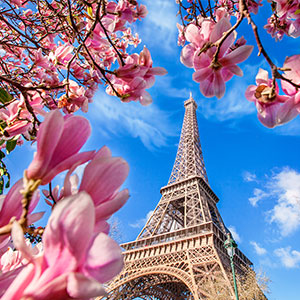 FRAGANCIA PARIS LE FLEUR