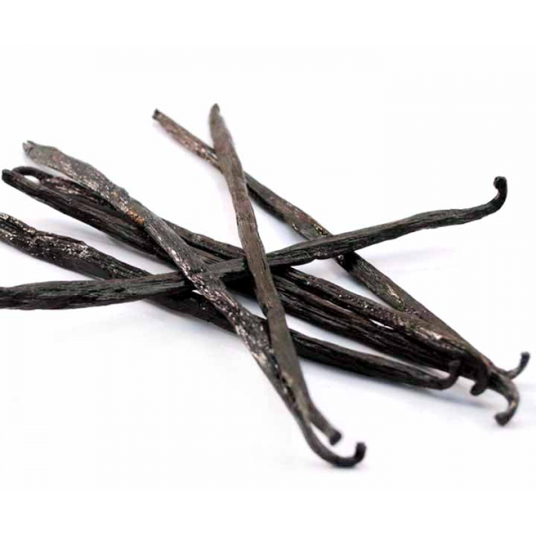 FRAGANCIA VAINILLA (VANILLA)