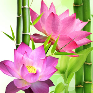 FRAGANCIA LOTUS BLOSSOM