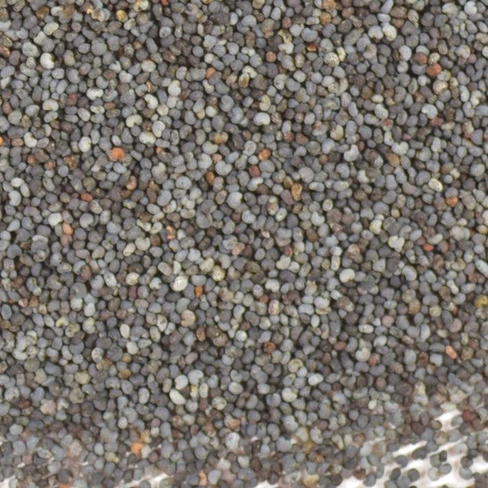POPPY SEEDS 1 OZ