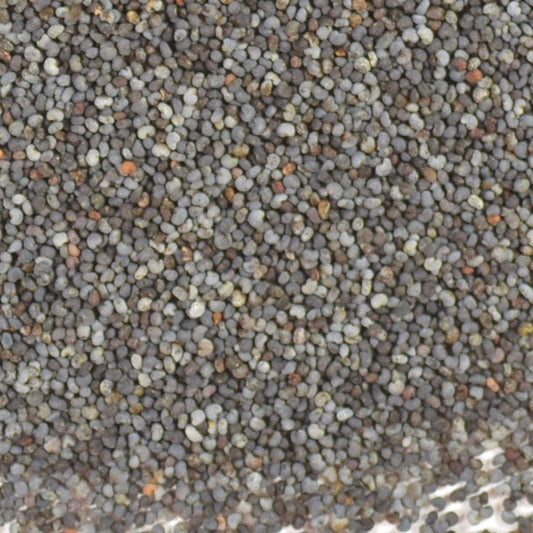 POPPY SEEDS 1 OZ