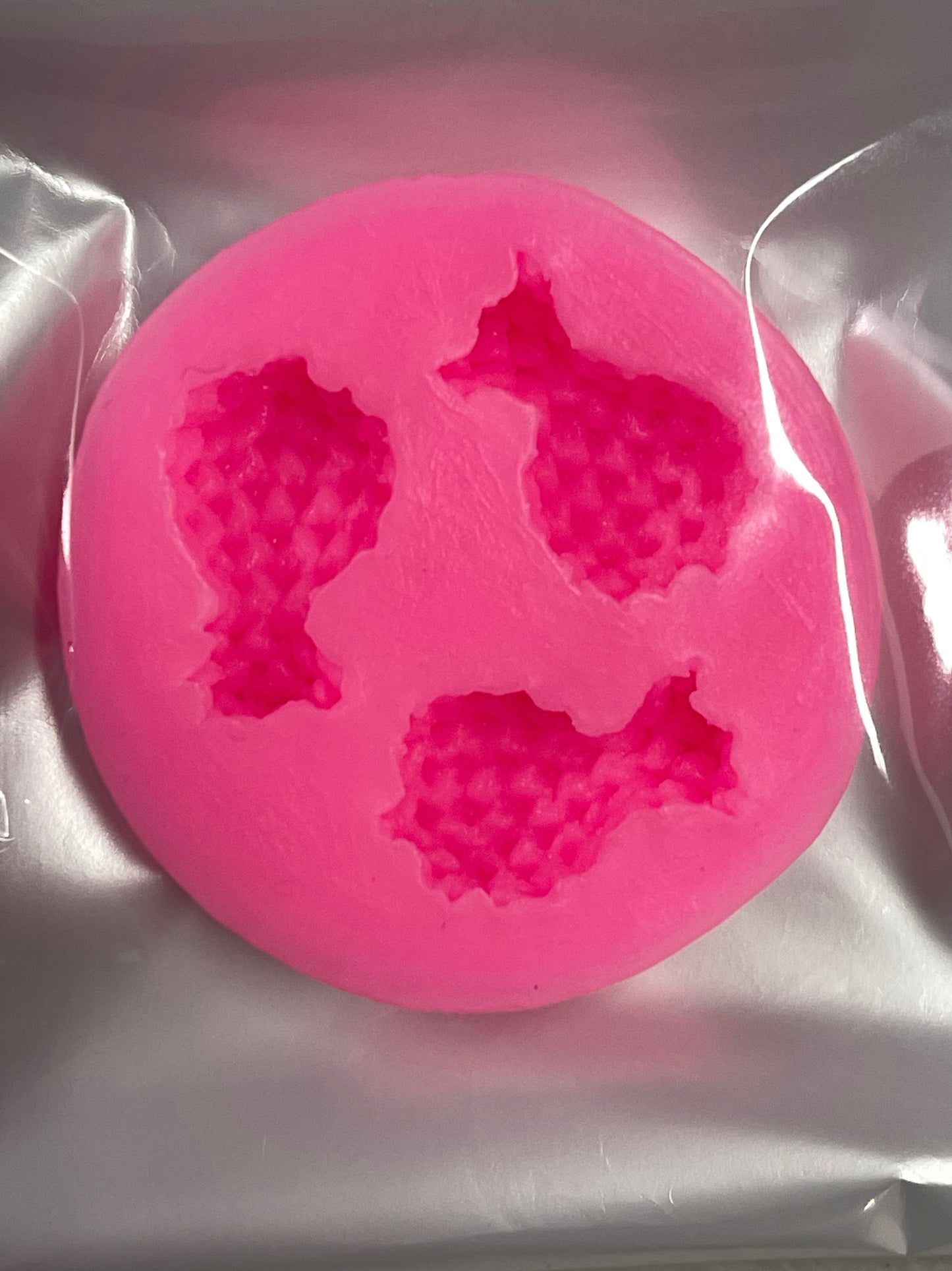FRUIT MOLD BLUEBERRIES 8 HOLES