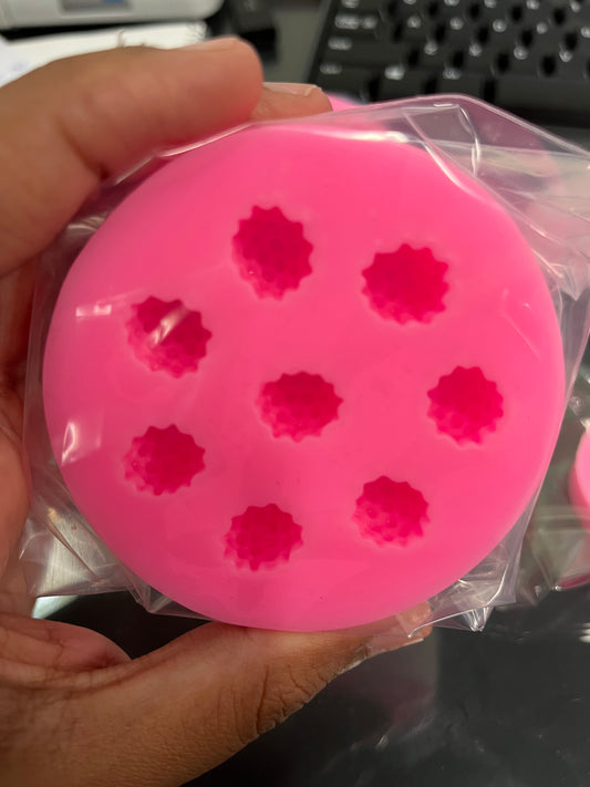 FRUIT MOLD BLUEBERRIES 8 HOLES