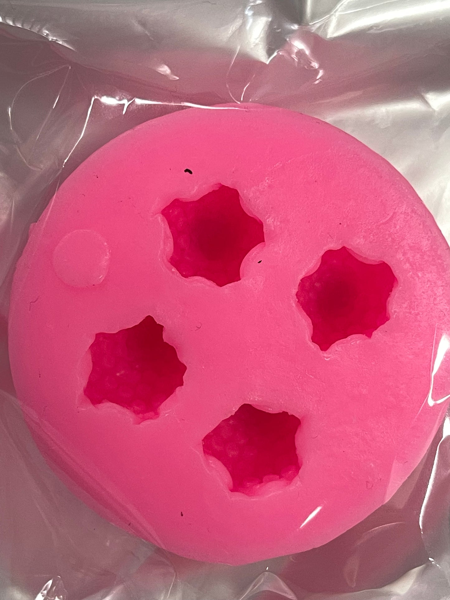 FRUIT MOLD BLUEBERRIES 8 HOLES
