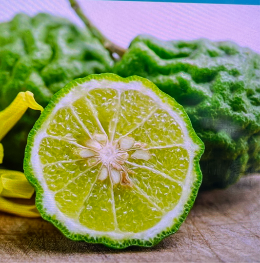 FRAGANCIA BERGAMOT