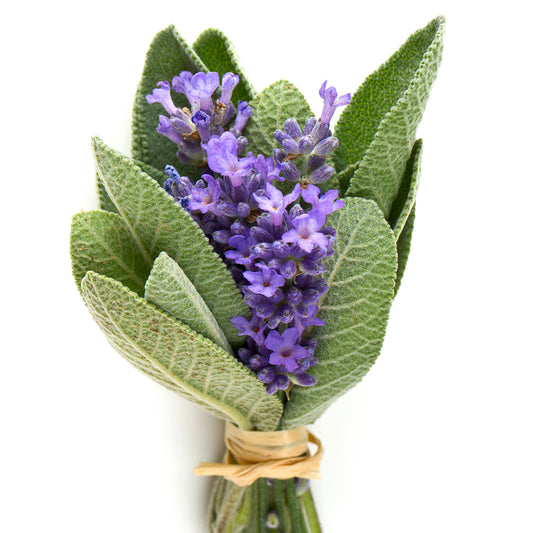 FRAGANCIA LAVANDA Y SALVIA (LAVENDER SAGE)