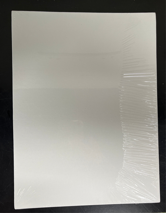 CANVAS PANEL 9x12