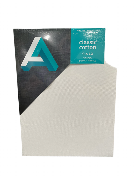 CANVAS 9X12 ART ALTERNATIVES 1 PC