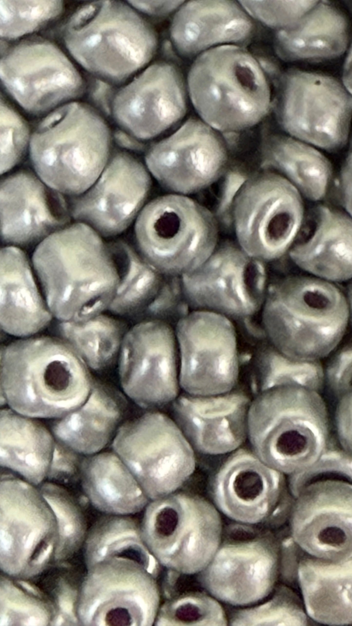 SEED BEAD 6/0 SILVER 45 GM