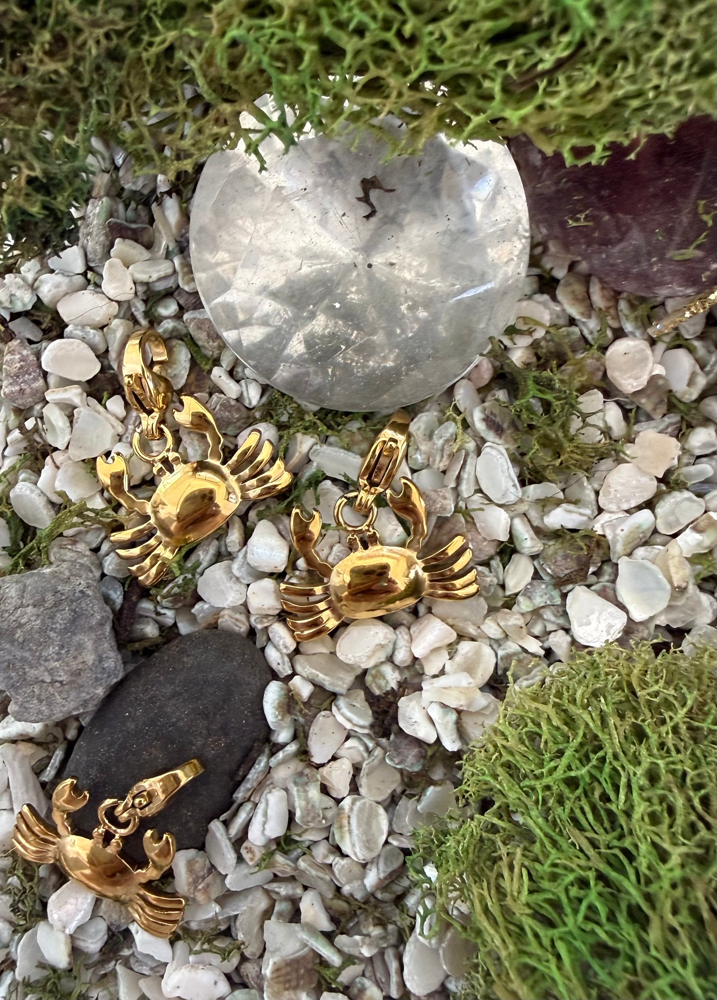 CRAB CHARM STAINLESS STEEL GOLD PLATED 14 KT 1 PC