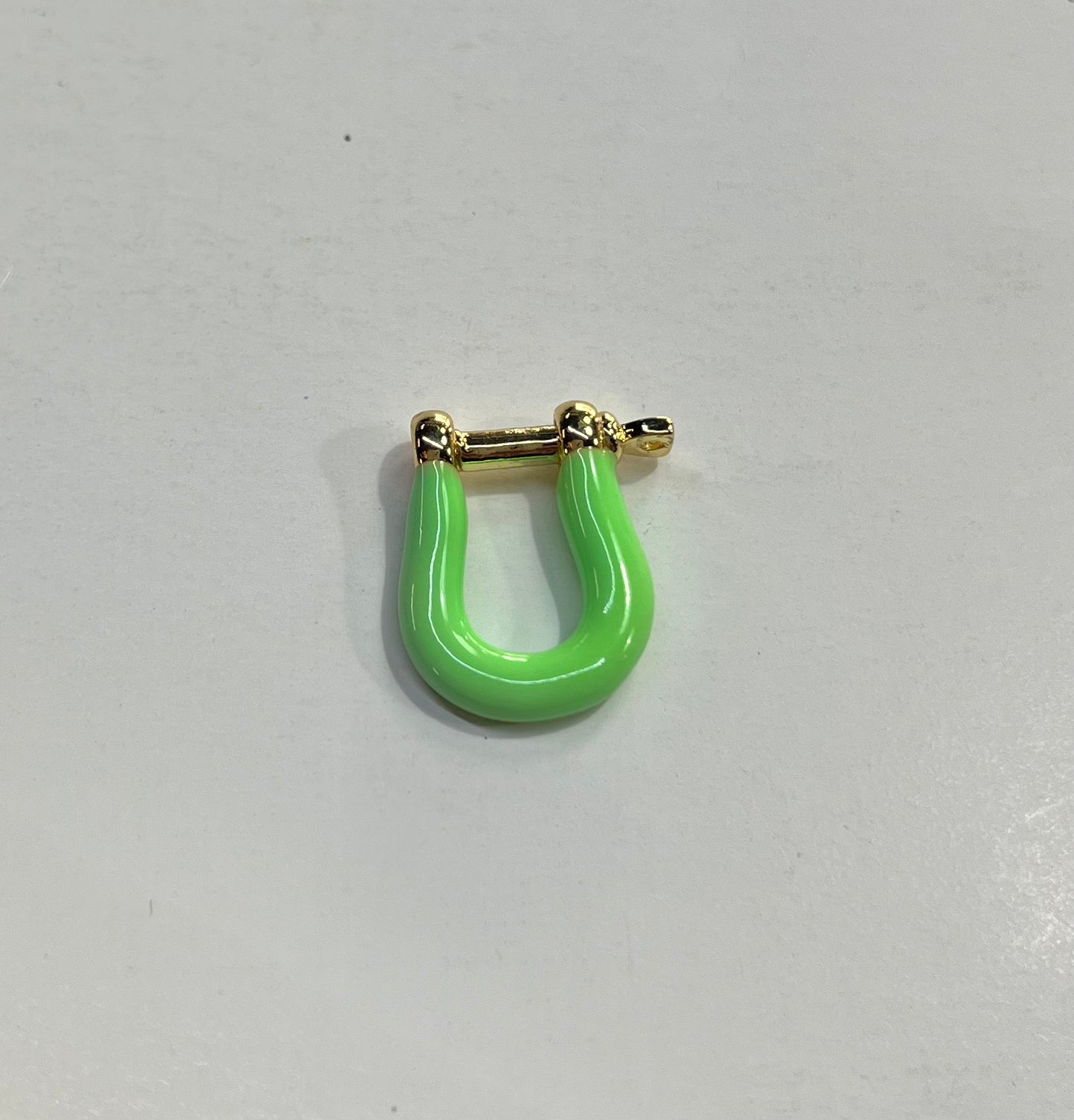 Clasp D Ring Shackle