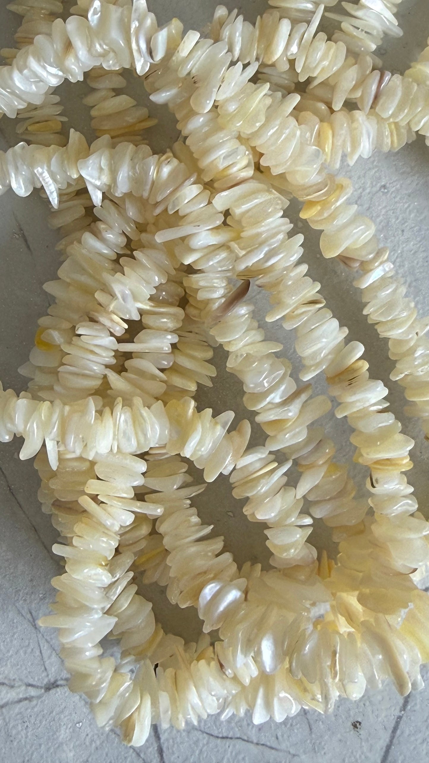 SHELL CHIPS WHITE LIP 1 STRAND