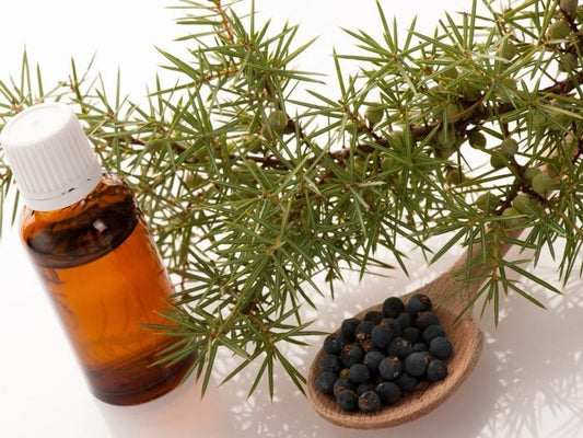 ACEITE ESENCIAL JUNIPER BERRY 0.50 OZ